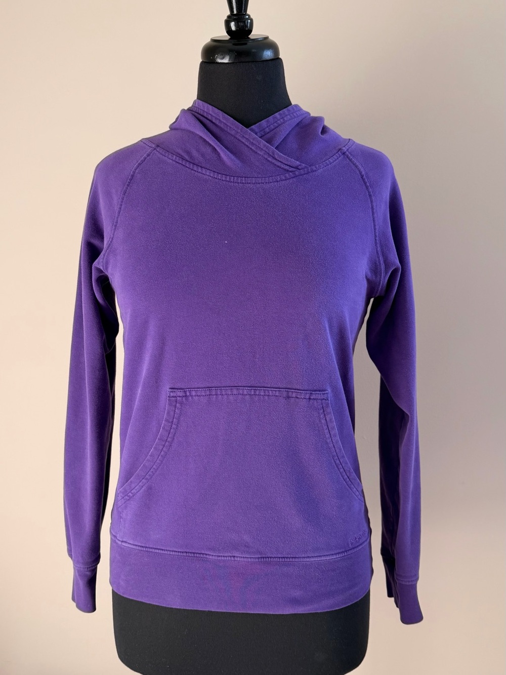 Patagonia Purple Hoodie